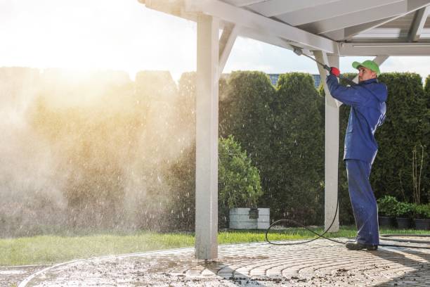 Animal Enclosure Cleaning in Macclenny, FL